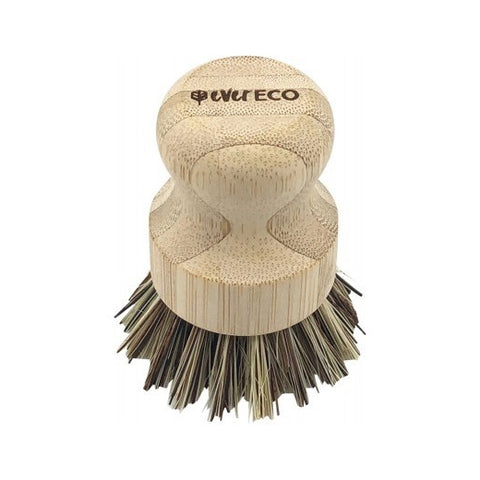 Ever Eco Pot Scrubber each