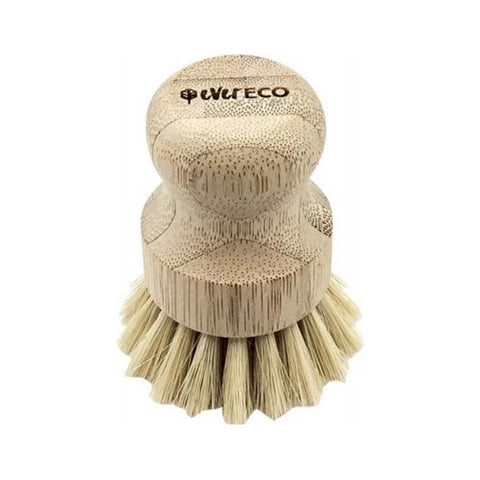 Ever Eco Veggie Scrubber each